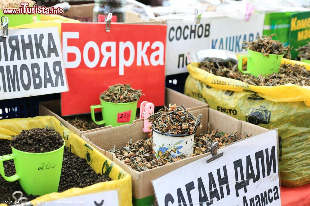 Immagine Erbe e spezie presso il Mercato Centrale (Tsentral'nyy Rynok) di Irkutsk, Russia - © Julie Mayfeng / Shutterstock.com