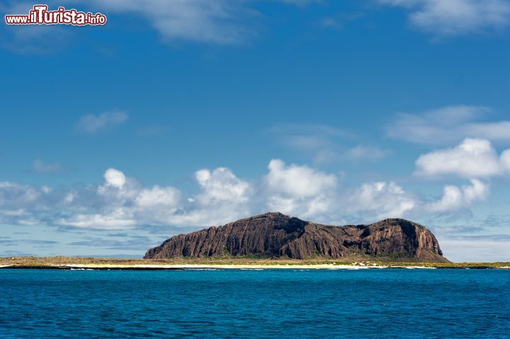 Immagine Una bella escursione in barca alle isole Galapagos, distribuite a nord e sud dell'Equatore che attraversa la parte settentrionale dell'isola Isabela, più grande di questo arcipelago che appartiene all'Ecuador - © Boyd Hendrikse / Shutterstock.com