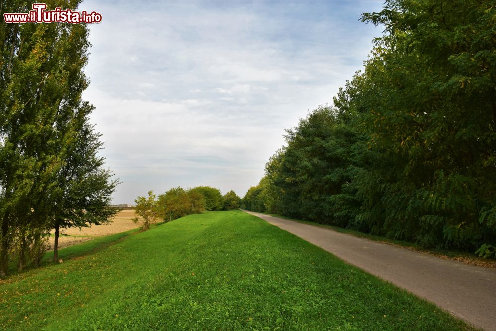 Immagine Escursione in bicicletta nelle campagne di Fratta Polesine in Veneto