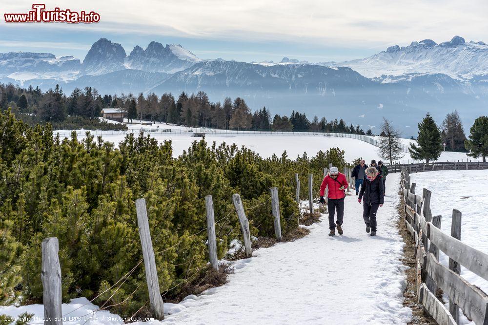 Immagine Escursione invernale sopra a Villandro in Alto Adige - © Philip Bird LRPS CPAGB / Shutterstock.com