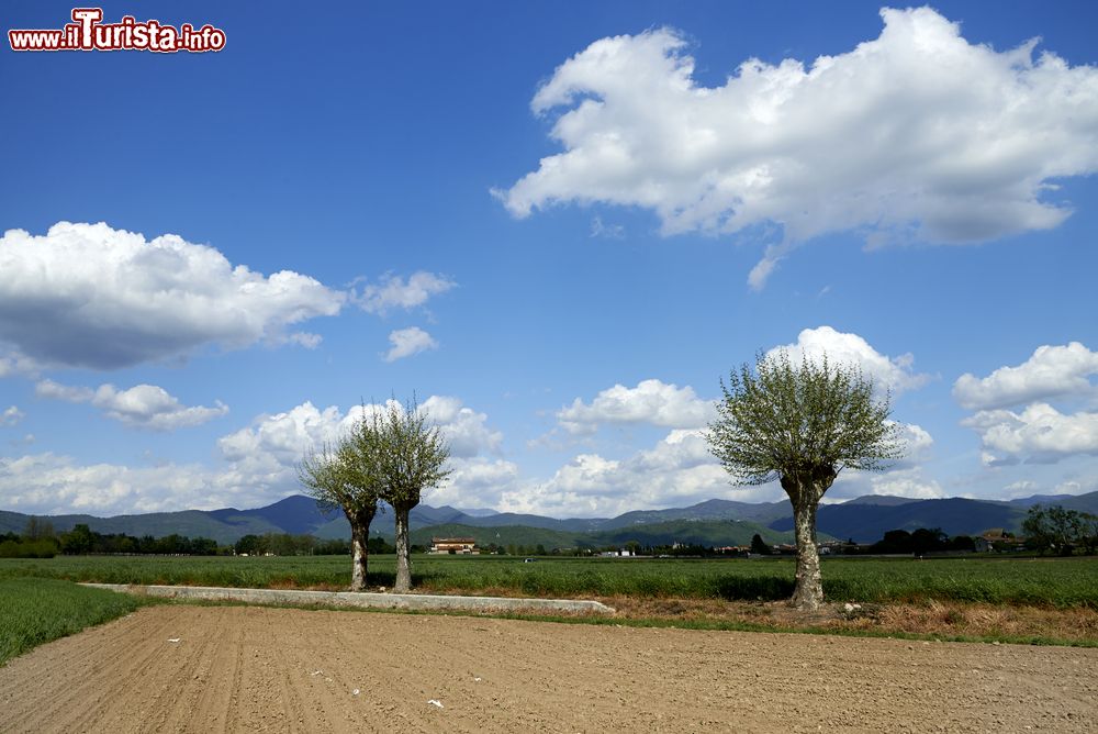 Immagine Escursione nella natura di Passirano in Lombardia