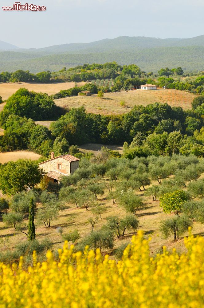 Immagine Escursione tra i paesaggi che circondano Civitella Paganico in Toscana