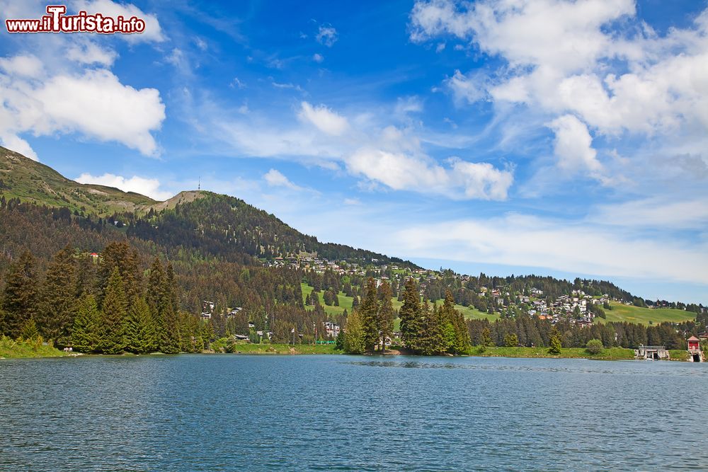 Immagine Escursioni a piedi nei pressi di Lenzerheide, Svizzera.