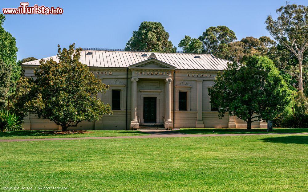 Immagine Esterno dell'Adelaide Santos Museum of Economic Botany di Adelaide (Australia): ospitato nei giardini botanici cittadini, espone un'interessante collezione sull'utilizzo pratico, economico e medicinale di materiali vegetali - © Keitma / Shutterstock.com