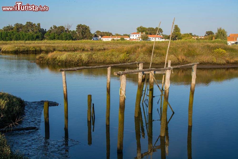 Immagine Estuario del fiume Sado a Comporta nell'Alentejo in Portogallo