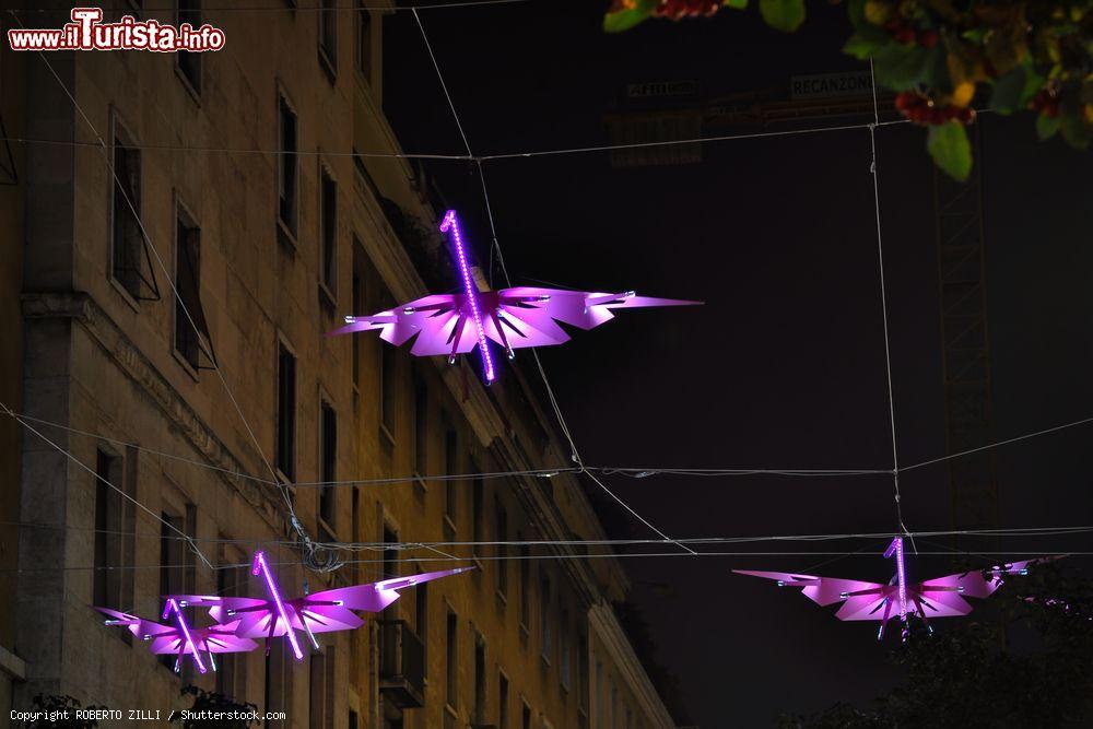 Immagine Fenicotteri rosa a Luci d'Artista a Torino. - © ROBERTO ZILLI / Shutterstock.com