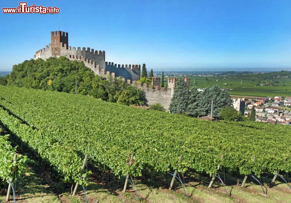 Immagine Il vino Soave è protagonista della Festa Medioevale che si svolge in città, in primavera