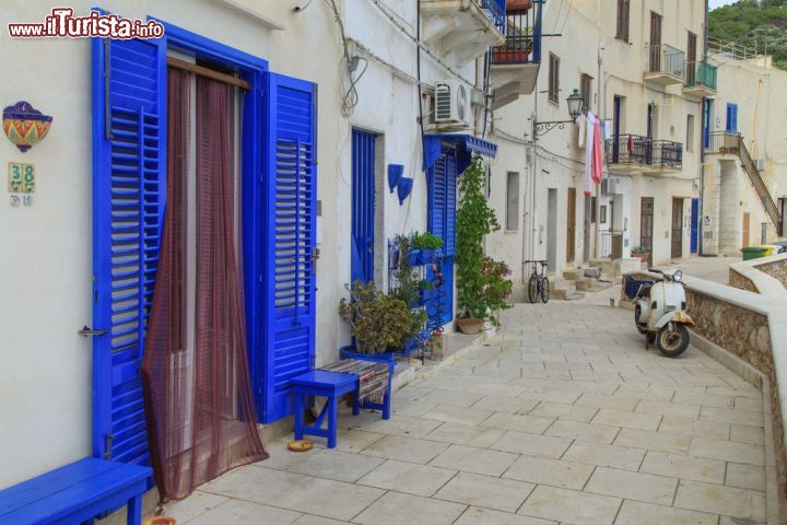 Immagine Le tipiche finestre blu di Levanzo, Sicilia. Una manciata di case per la più piccola delle Egadi, con una superficie emersa di appena 5 chilometri quadrati  - © Marcin Krzyzak / Shutterstock.com