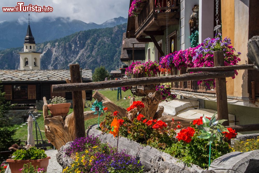 Immagine Fiori colorati nel piccolo borgo di Chamois, Valle d'Aosta.