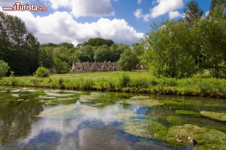 Immagine Fiume Coln nei pressi di Bibury, Inghilterra - Situato circa 130 chilometri ad ovest di Londra, Bibury è un pittoresco villaggio che regala ai visitatori scenari da sogno: stupende case in pietra ad Arlington Row e meravigliosi paesaggi sul fiume Coln © Frank Fischbach / Shutterstock.com