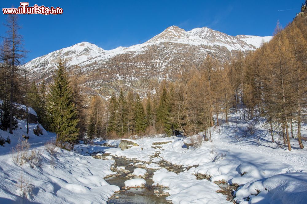 Immagine Un fiume di montagna ricoperto di neve a Cogne, Valle d'Aosta. Siamo in una bella giornata di sole in inverno con pini e cime innevate sullo sfondo.
