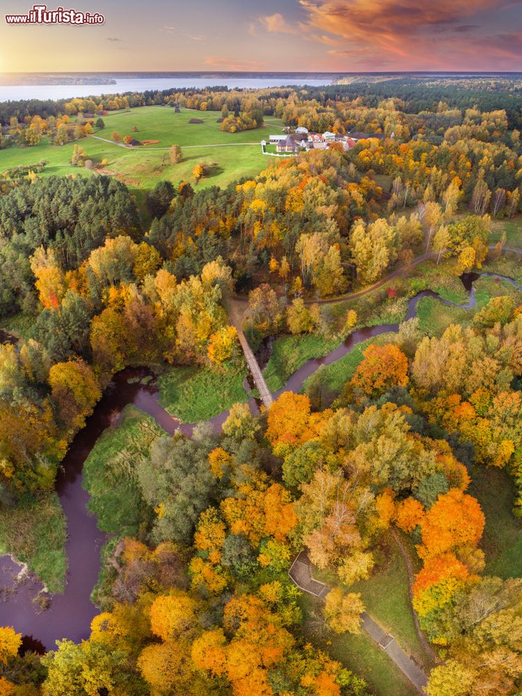 Immagine Foliage autunnale a Rumsiskes, Lituania: una splendida foresta dalle mille sfumature fotografata dall'alto.