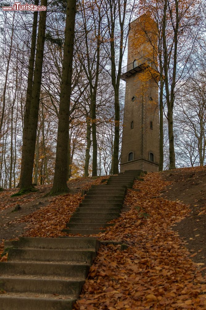 Immagine Foliage autunnale al Park Sonsbeek di Arnhem, Olanda. Dal 1899 è un parco pubblico cittadino.