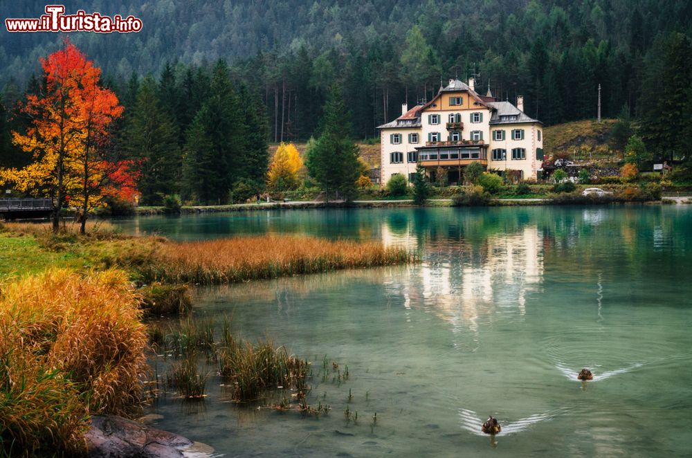 Immagine Foliage autunnale attorno al lago di Dobbiaco, nelle Dolomiti, con un hotel-ristorante sullo sfondo (Trentino Alto Adige).