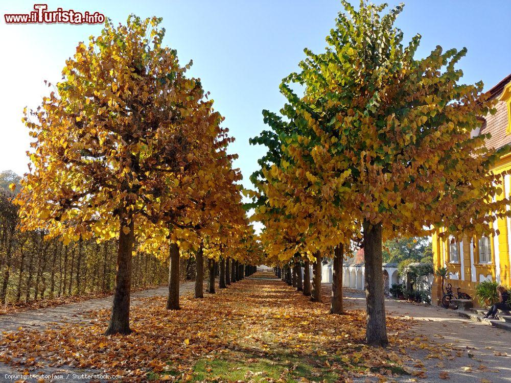 Immagine Foliage autunnale del giardino del palazzo Seehof di Bamberga, Germania. Era la dimora estiva del Principe-Vescovo della città - © cytoplasm / Shutterstock.com