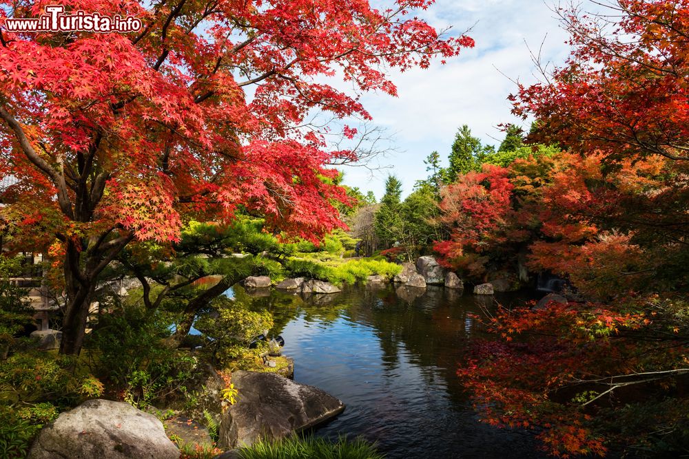 Immagine Foliage autunnale in un parco a Himeji in Giappone, nelle vicinanze del celebre castello