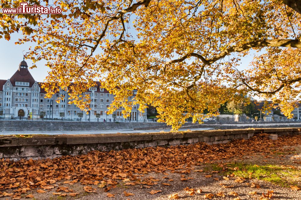 Immagine Foliage autunnale in un parco nel centro di Besancon, Francia.