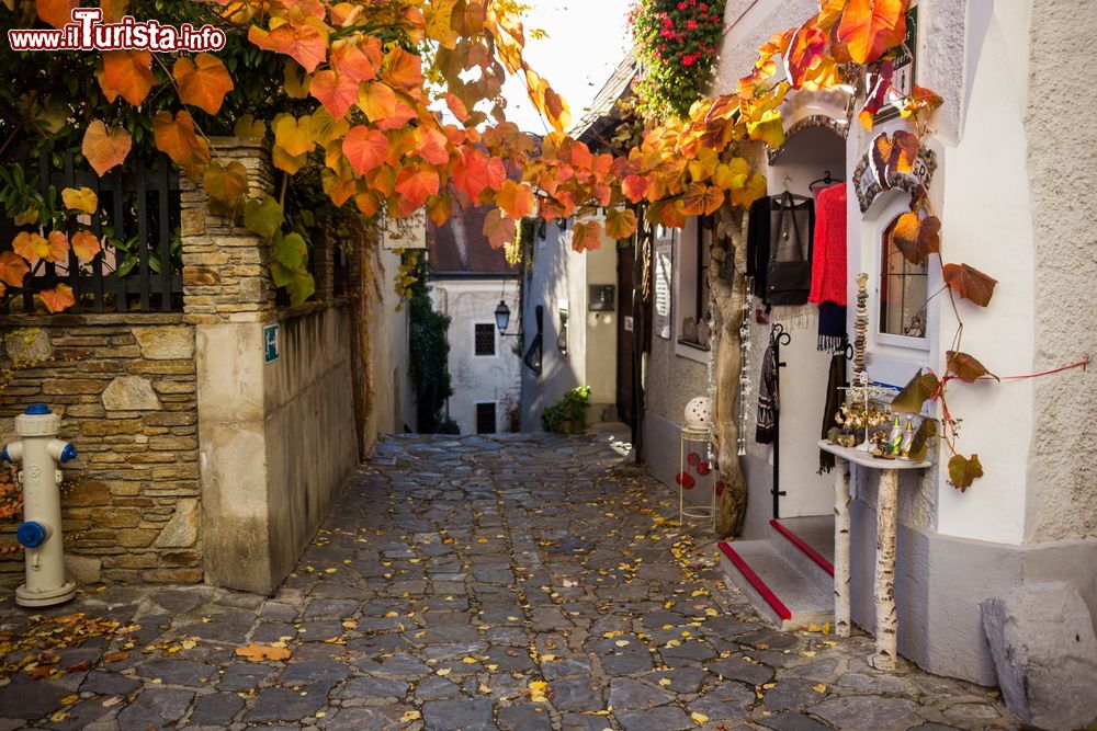 Immagine Foliage autunnale nel centro di Durnstein, valle di Wachau, Austria.