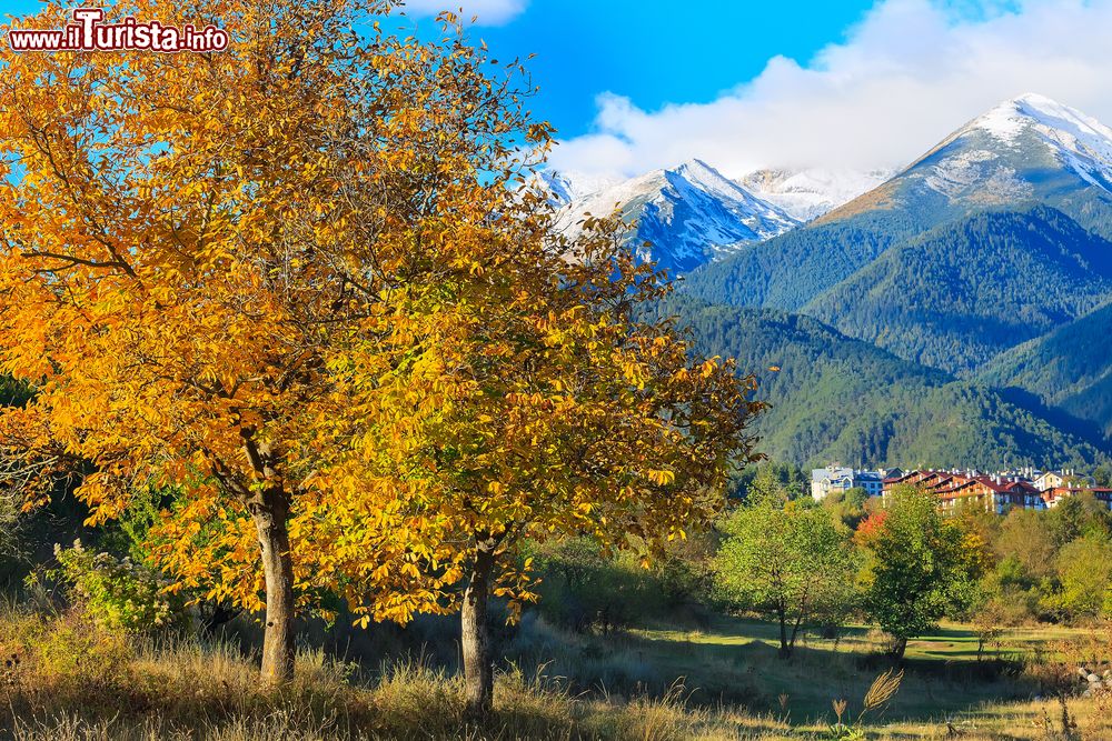 Immagine Foliage autunnale nelle campagne attorno a Bansko, Bulgaria. Sullo sfondo, le case di questa cittadina situata nel distretto di Blagoevgrad.