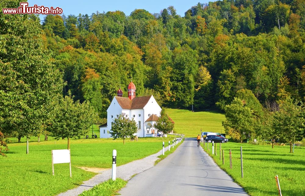 Immagine Foliage autunnale nelle campagne di Zugo, Svizzera.