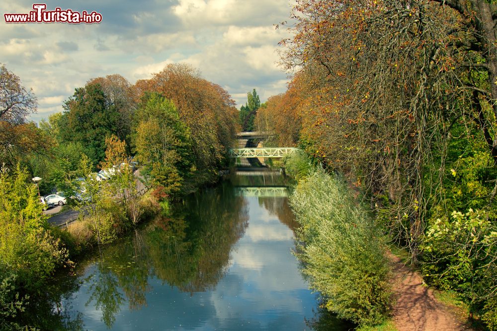 Immagine Foliage autunnale per gli alberi lungo il canale di Metz, Francia. La città sorge alla confluenza della Mosella con il fiume Seille.