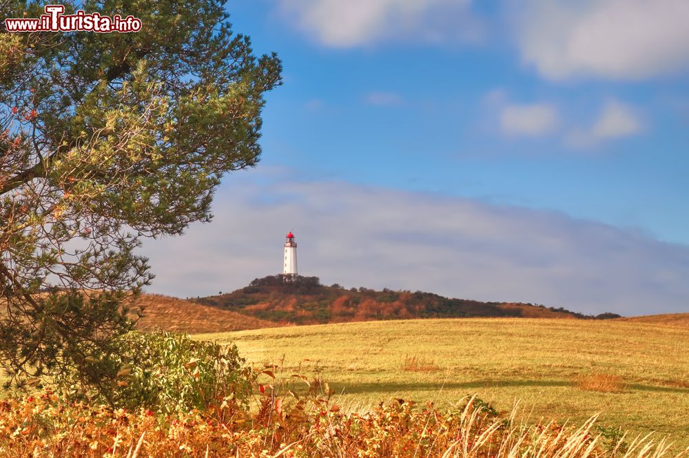 Immagine Foliage autunnale sull'isola di Hiddensee, Meclemburgo-Pomerania: il faro di Dornbusch (Germania).