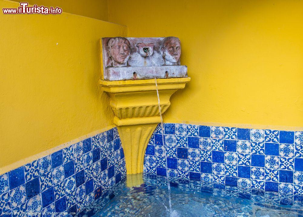 Immagine Un dettaglio di una fontana a San Miguel de Allende, Messico - © Kobby Dagan / Shutterstock.com