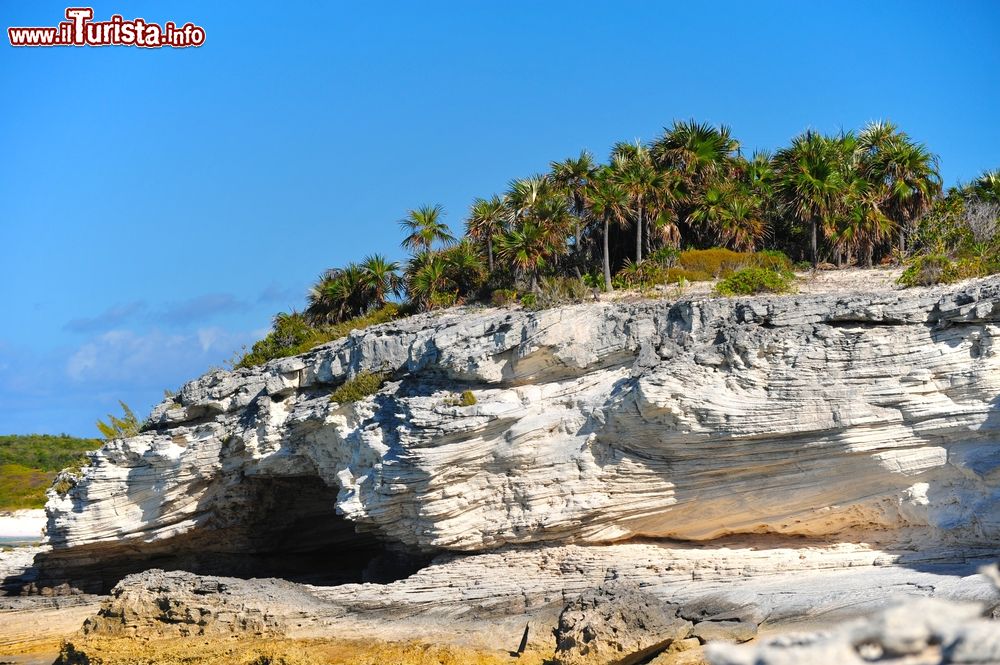 Immagine Formazioni rocciose lungo la costa dell'isola caraibica di Eleuthera, Bahamas.