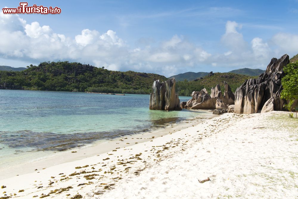 Immagine Formazioni rocciose sulla spiaggia di sabbia bianca a Denis Island, Oceano Indiano, Seychelles.