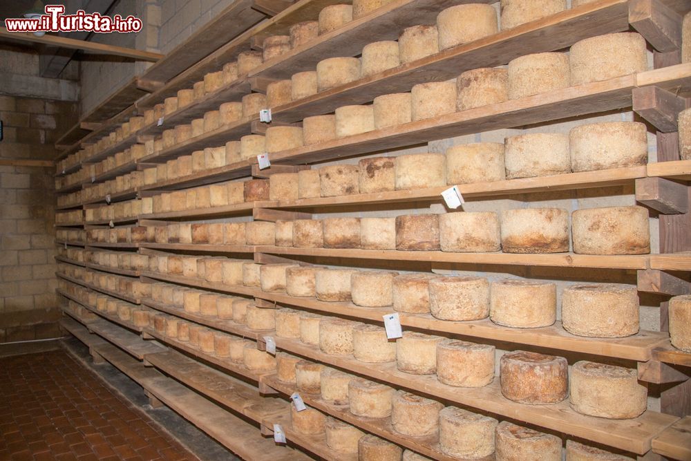 Immagine Forme di formaggio Castelmagno, Piemonte. Si tratta di un eccellente prodotto caseario prodotto unicamente nella Valle Grana: a pasta semidura, ha una crosta fine di colore giallo-brunastra.