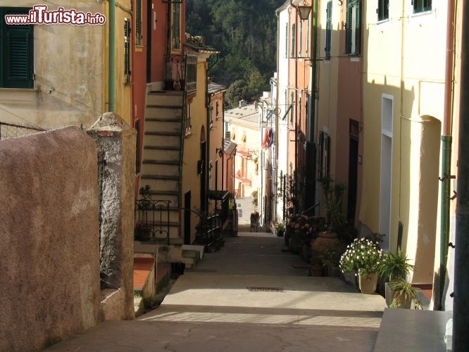 Immagine Le strette strade del borgo di Framura in Liguria: qui ci troviamo in frazione Costa