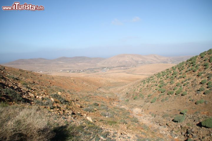 Immagine Fotografia panoramica del percorso rupestre di Betancuria, Fuerteventura (Isole Canarie) - Quando ci si trova al cospetto di un ecosistema che aiuta a mantenere un certo tipo di natura, accade che l'intervento dell'uomo commetta qualche errore. Invece, qui a Betancuria, questo non succede perché fortunatamente la sua anima primitiva è rimasta intatta.