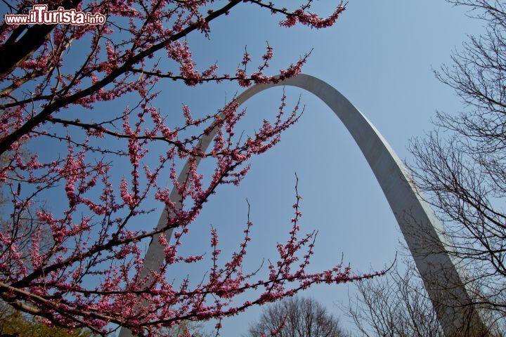 Immagine Il Gateway Arch fotografato in primavera a St Louis - © Missouri Division of Tourism