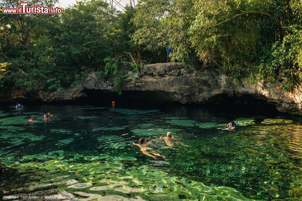 Immagine Gente nuota in un cenote a Puerto Aventuras, Quintana Roo, Messico. In America Centrale e nle Messico meridionale il cenote è una grotta con acqua dolce. Si tratta di grotte carsiche parzialmente o completamente collassate - © lastdjedai / Shutterstock.com