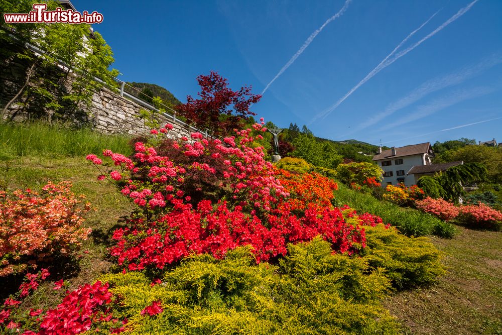 Immagine Giardini fioriti nei pressi del santuario della Madonna del Sangue a Re, Piemonte.