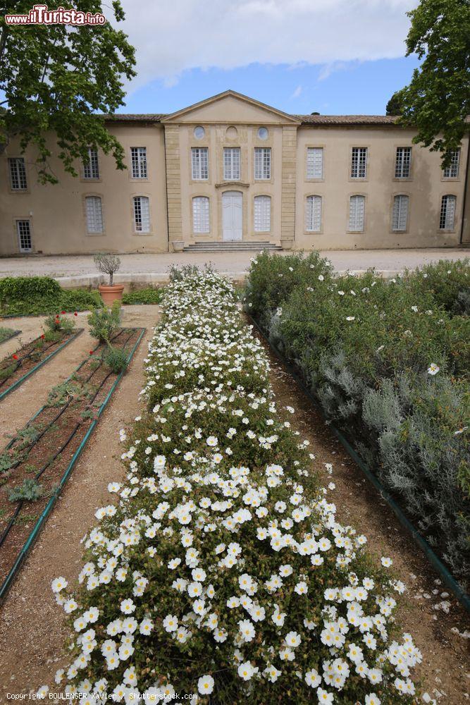 Immagine Giardino del Domaine d'O nella città di Montpellier, Francia: fiori e piante di fronte al castello - © BOULENGER Xavier / Shutterstock.com