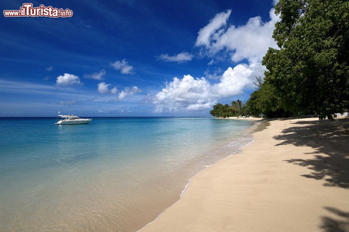 Immagine Gibbes Beach si trova sulla costa ovest di Barbados, e come molti altri arenili dell'isola, è una delle spiagge bianche più apprezzate nei Caraibi  - © Filip Fuxa / shutterstock.com