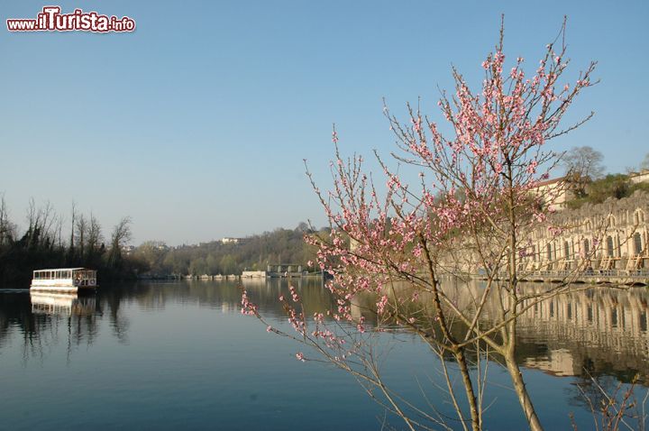 Immagine L'incantevole paesaggio fluviale ripreso durante una gita in battello sull'Adda - uno scenario naturale spettacolare, un'immagine suggestiva catturata durante una gita in battello sull'Adda, il più lungo degli affluenti del Po. Qui, nel cuore della Lombardia e della Pianura Padana, si scopre un mondo dove la quiete e il silenzio regnano sovrani, e dove la natura è accompagnata dall'industria. 