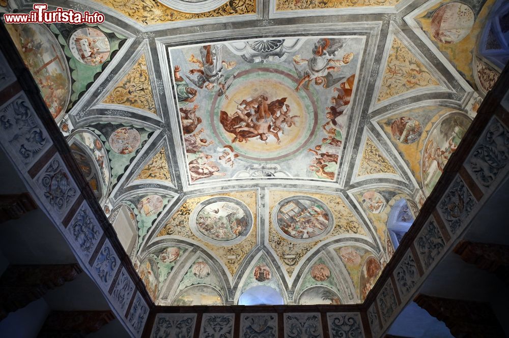 Immagine Gli affreschi della cappella del castello di Neuburg in Baviera  - © foto: Sonja Vietto Ramus e Massimo Valentini