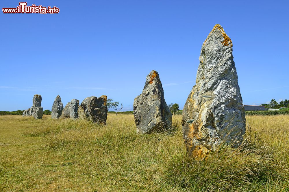 Immagine Gli allineamenti dei menhirs di Lagatjar nelle campagne di Camaret-sur-Mer, Bretagna, Francia. Sono i più importanti di questa regione di Francia: nel 1883 sono stati dichiarati monumenti storici.