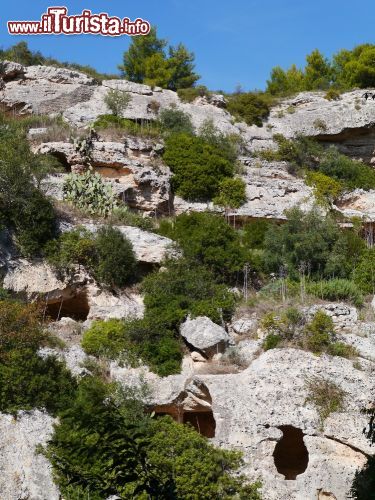 Immagine Grotte e carsismo in una gravina a Massafra, Puglia - Il territorio di Massafra, in provincia di Taranto, è caratterizzato da grotte e dal fenomeno erosivo del carsismo che altera e erode i rilievi calcarei sino a creare un paesaggio ricco di forme particolari © InavanHateren / Shutterstock.com