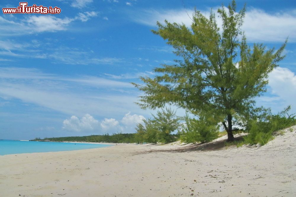 Immagine Half Moon Cay, Bahamas: spiaggia dorata, acqua verde smeraldo e cielo blu. Sono i colori dello splendido litorale di questo piccolo isolotto situato circa 160 chilometri a sud-est di Nassau.