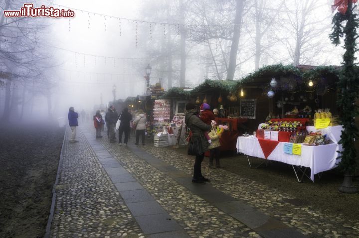 Immagine I mercatini di Natale a Govone - © Steve Sidepiece / Shutterstock.com