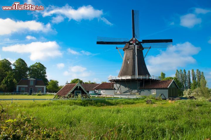 Immagine I mulini a vento sono uno dei simboli dell'Olanda. Questo nell'immagine si trova nei pressi di Deventer e risale al 1863. Oggi, dopo essere stato ristrutturato, funziona come segheria -foto © hans engbers / Shutterstock.com