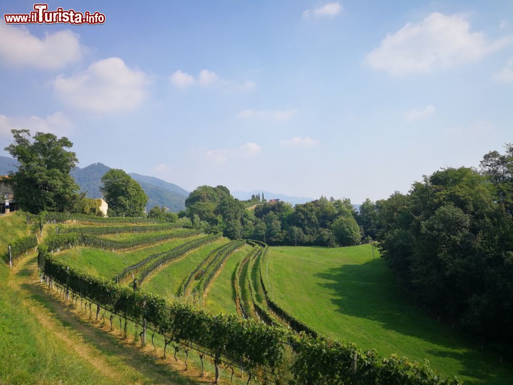 Immagine I paesaggi della 'Toscana della Svizzera', siamo nel Mendrisiotto, Canton Ticino