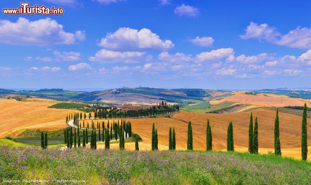 Immagine I paesaggi incantati della Val d'Orcia in Toscana, siamo in provincia di Siena © StockPhotoAstur / Shutterstock.com
