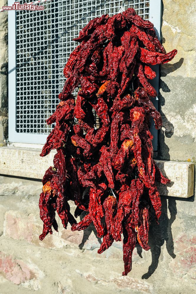 Immagine I peperoni di Senise in Basilicata, simbolo cittadino