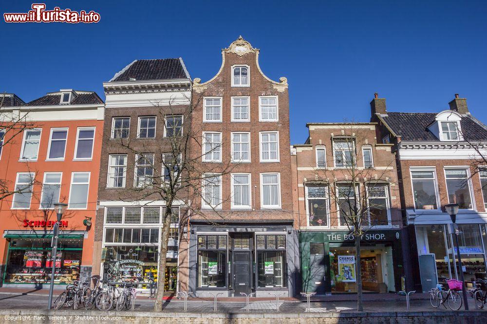 Immagine I tetti delle tipiche case olandesi nel centro di Leeuwarden, Paesi Bassi - © Marc Venema / Shutterstock.com