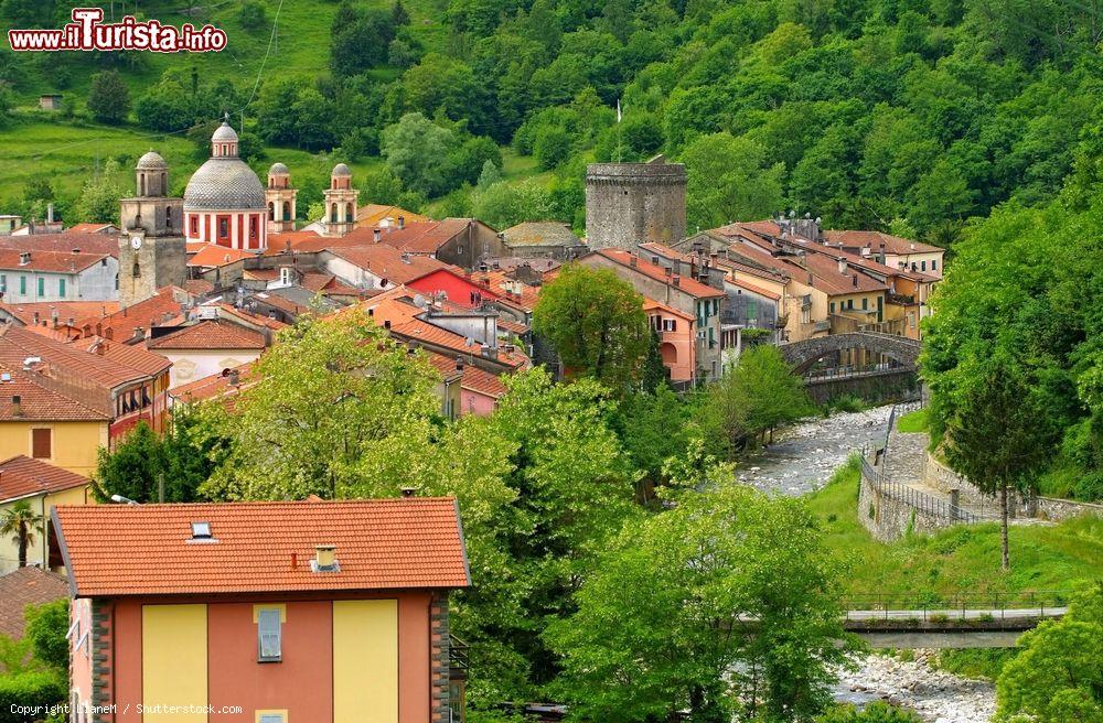 Immagine I tetti di Varese Ligure, provincia di La Spezia (Liguria) - © LianeM / Shutterstock.com