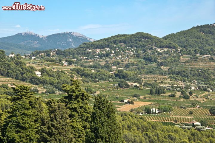 Immagine I vigneti di Bandol, nel sud della Francia, fotografati dalle colline. Il fascino della Provenza tradizionale e l'eccellenza di un territorio in grado di produrre ottimi vini: siamo a Bandol dove il paese medievale, il mare cristallino e le cantine sempre aperte fanno di questa città a due passi da Tolone un luogo incantevole - © Delpixel / Shutterstock.com